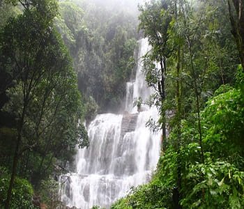 2 Days Mysore to Chikmagalur Taxi