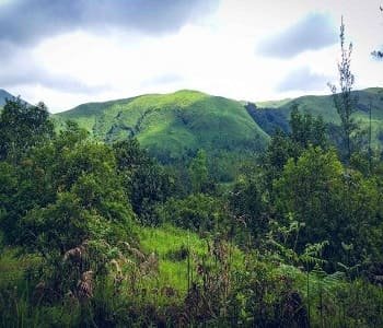 8 Days Ultimate Chikmagalur Explorer