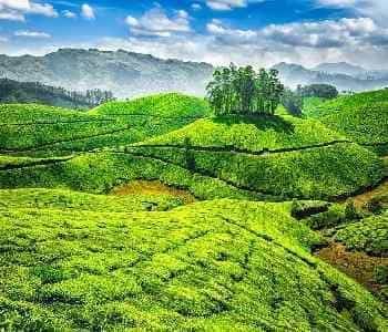 5 Days Ooty In-Depth Tour