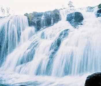 7 Days Ooty Honeymoon Special