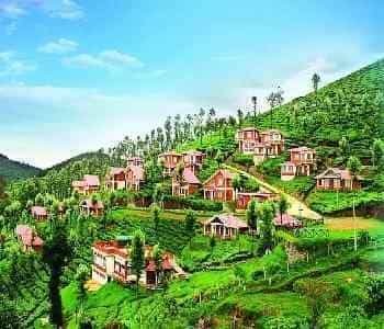 1 Day Ooty Taxi Tour