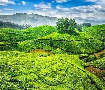 Mysore-to-ooty-Two-Day-Trip