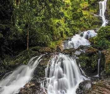 4 Days Mysore to Wayanad Vacation