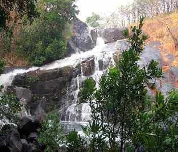 6 Days Mysore Wayanad Coorg Combo