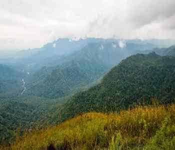 7 Days Wayanad Ooty Combo Special