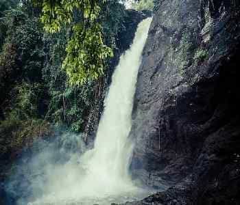 8 Days Ultimate Wildlife Loop