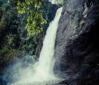 Mysore-to-wayanad-Four-Day-Trip